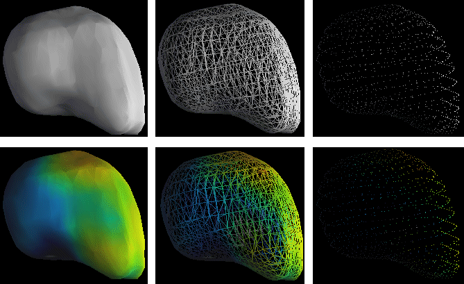 P3D Surface Renderings