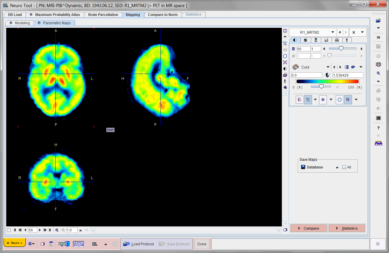 ParametricMappingStatisticOption